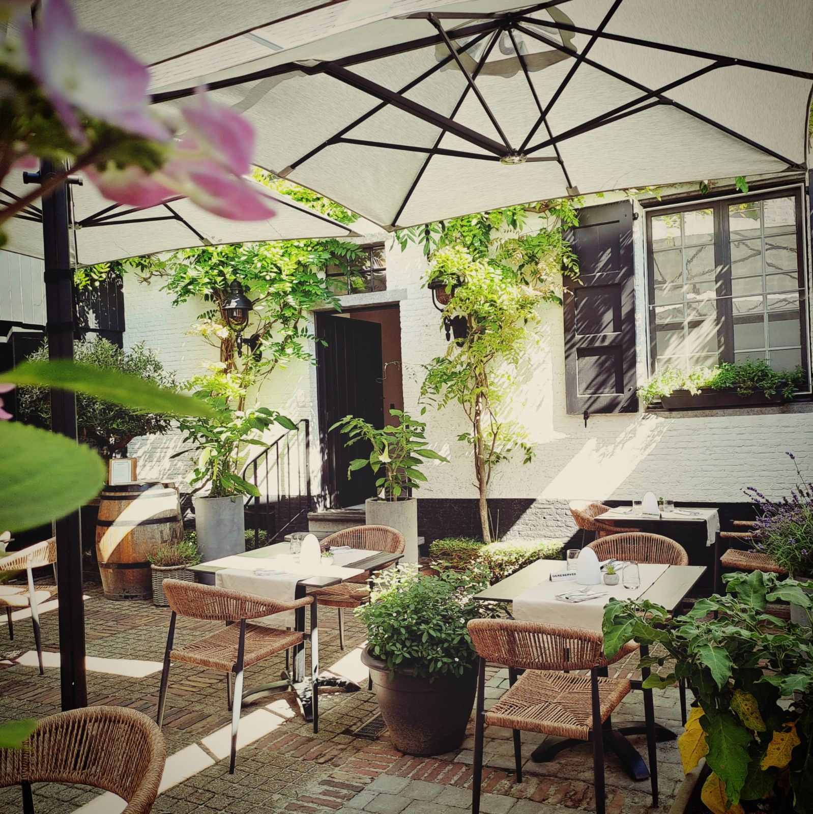 Tuinterras met parasols